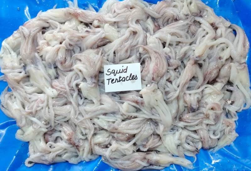 SQUID TENTACLES